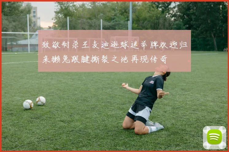致敬耐杀王麦迪逊球迷举牌欢迎归来獭兔跟腱撕裂之地再现传奇