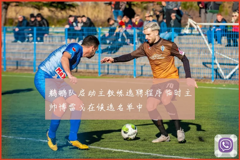 鹈鹕队启动主教练选聘程序临时主帅博雷戈在候选名单中